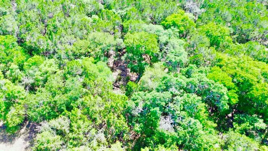 237 Pleasant Valley Rd, Wimberley, TX 78676 - Image #2