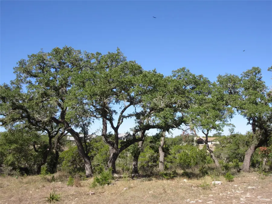Lot 36 Mustang Valley Trl, Wimberley, TX 78676 - #3