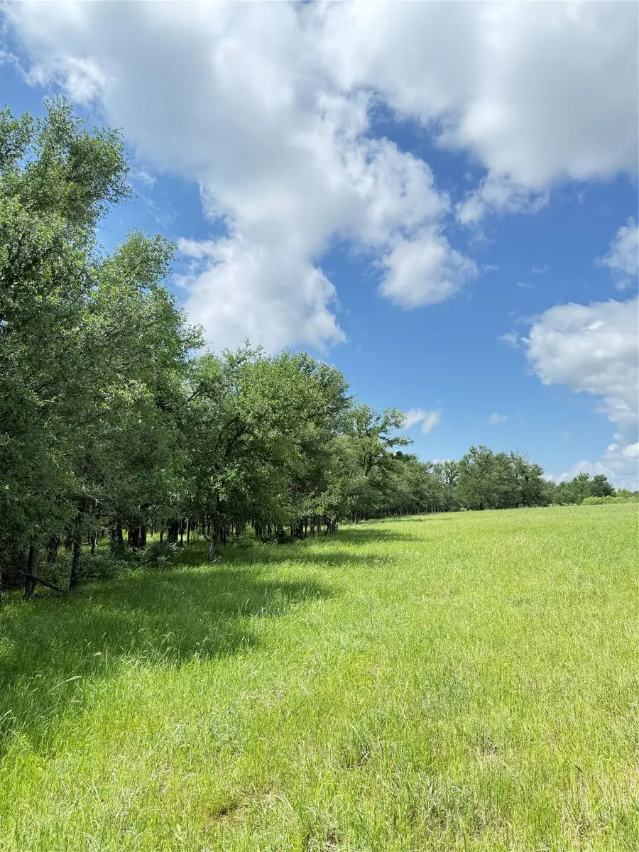 674 County Road 309, Rockdale, TX 76567 - Image #2