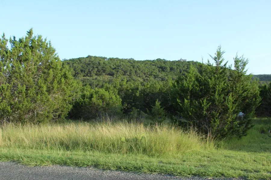 218 Spring Hollow Drive Dr, Bertram, TX 78605 - Image #2