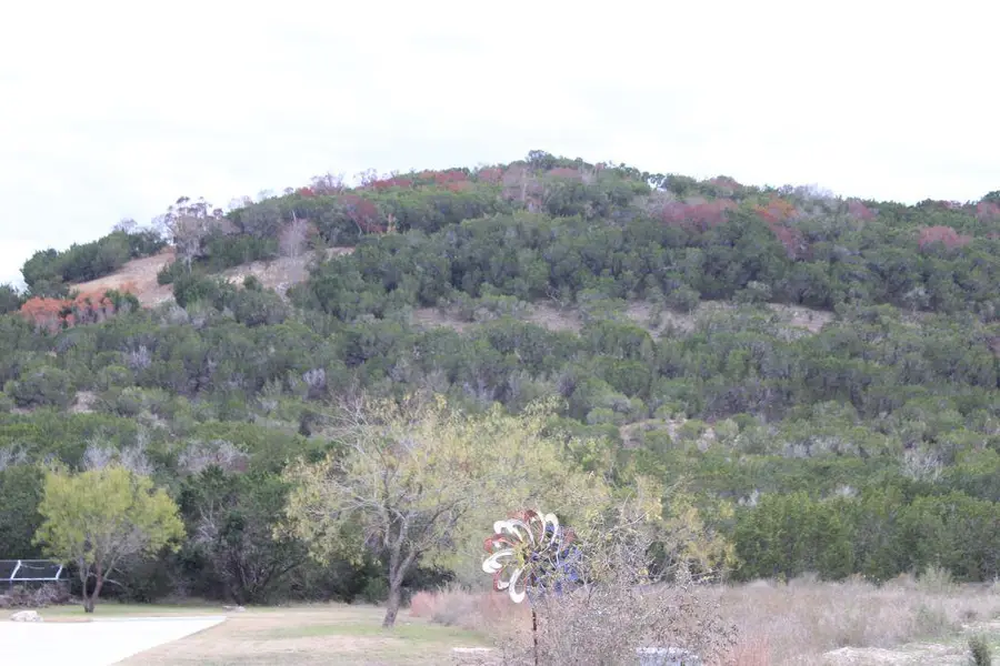 218 Spring Hollow Drive Dr, Bertram, TX 78605 - Image #3