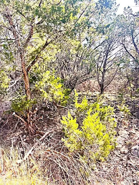 20001 Calhoun Ave, Lago Vista, TX 78645 - Image #3