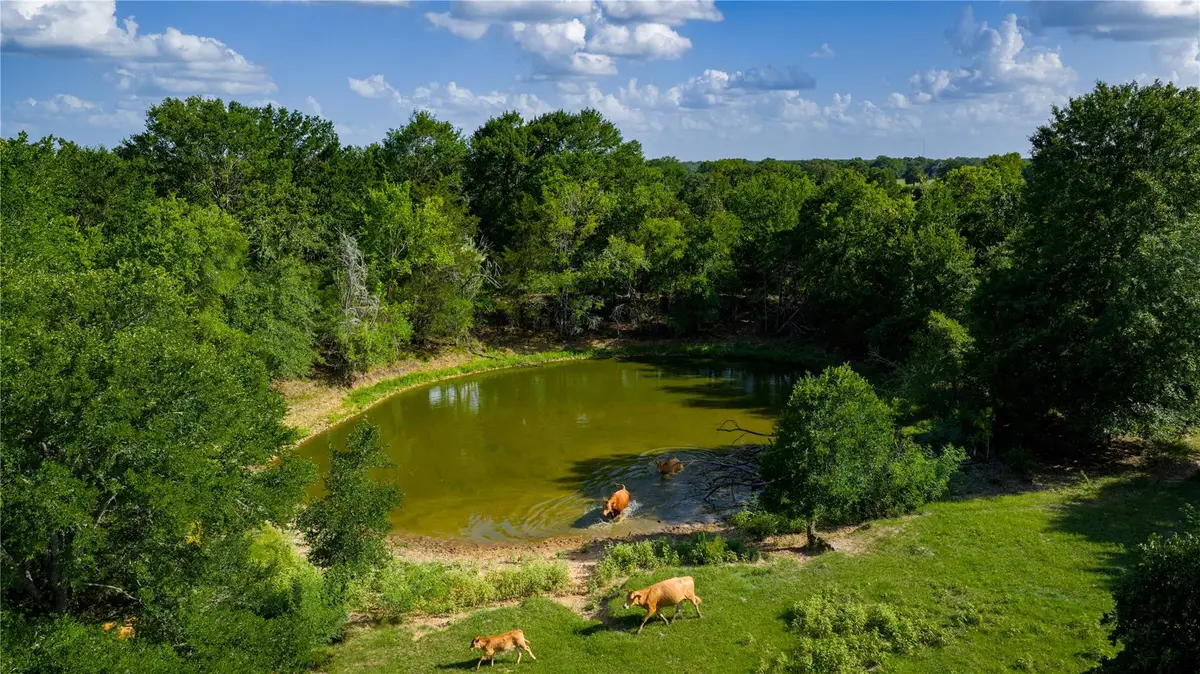 TBD Fm 2104, Smithville, TX 78957 - #1