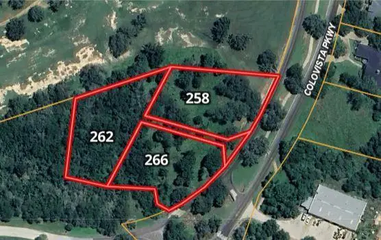 266 Colovista Pkwy, Bastrop, TX 78602 - #3