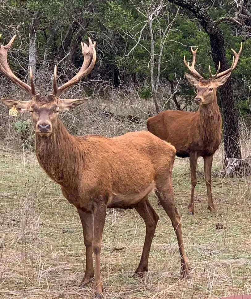 TBD 281 Highway, Lampasas, TX 76550 - Image #2