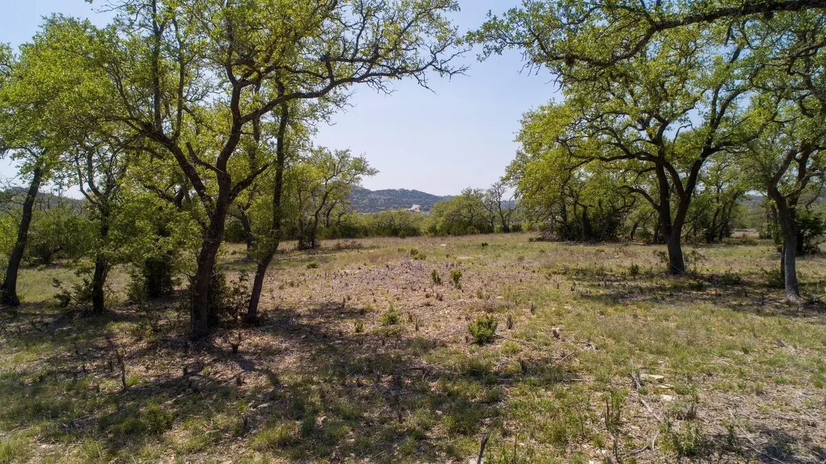 101 Bluff Ridge Trl, Blanco, TX 78606 - Image #1