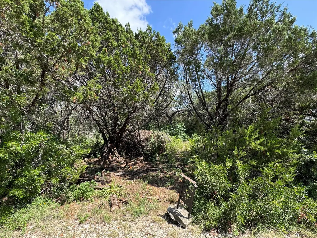 18304 Lake Oaks Dr, Jonestown, TX 78645 - Image #1