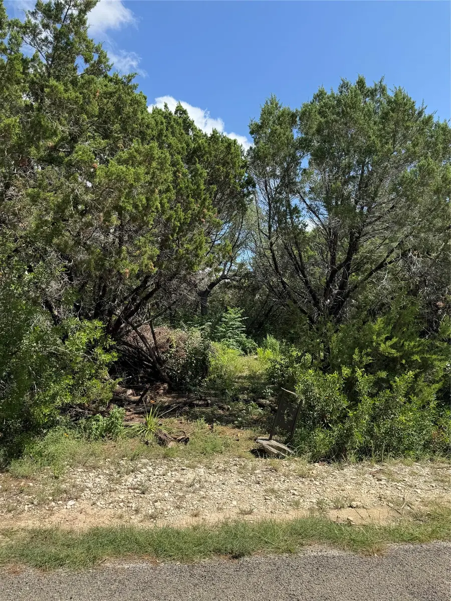 18304 Lake Oaks Dr, Jonestown, TX 78645 - Image #2