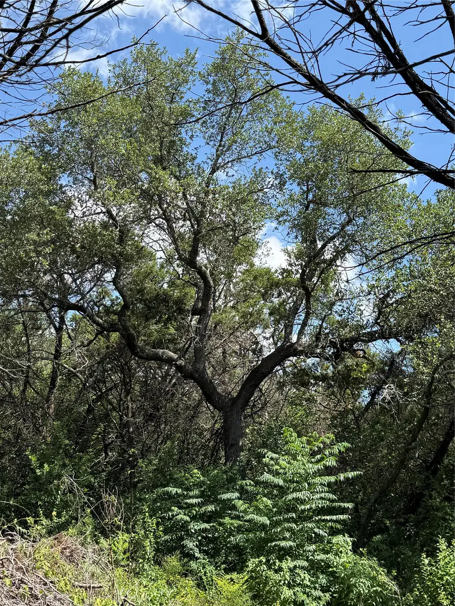 18304 Lake Oaks Dr, Jonestown, TX 78645 - Image #3