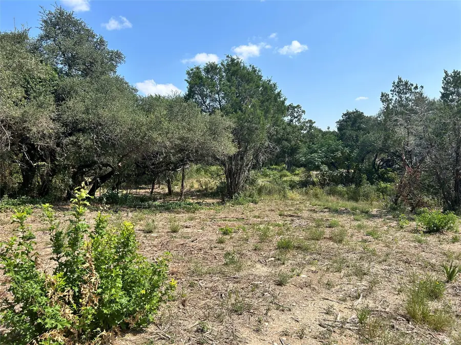 18310 Austin Dr, Jonestown, TX 78645 - Image #2