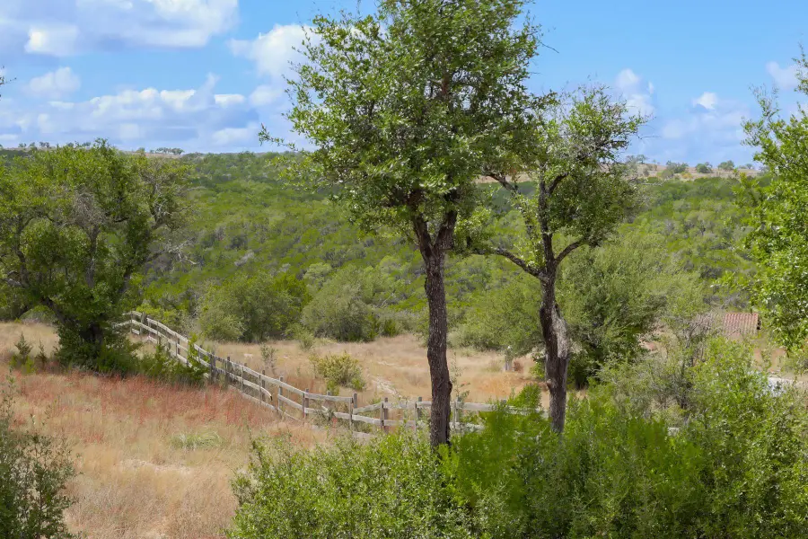 19201 Moreh Peak Pass, Austin, TX 78738 - #3