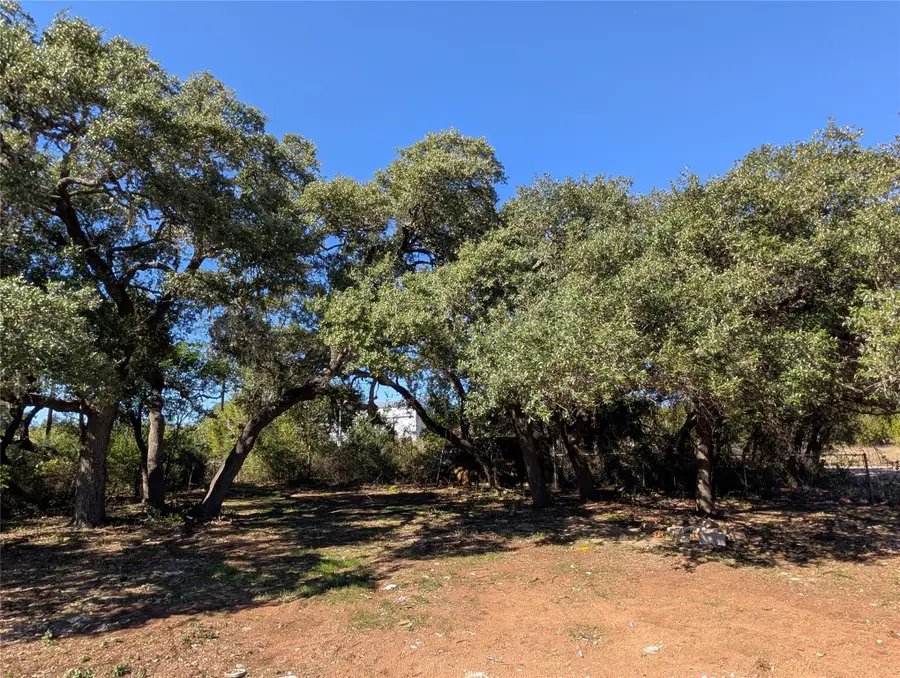 170 Brownson Ln, Driftwood, TX 78619 - Image #2