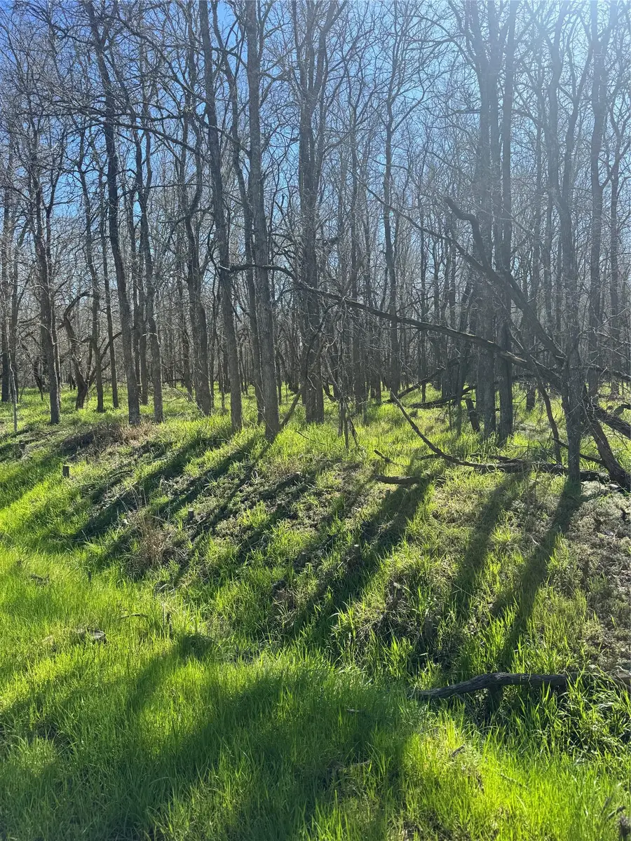 289 Iva Ln, Bastrop, TX 78602 - #3