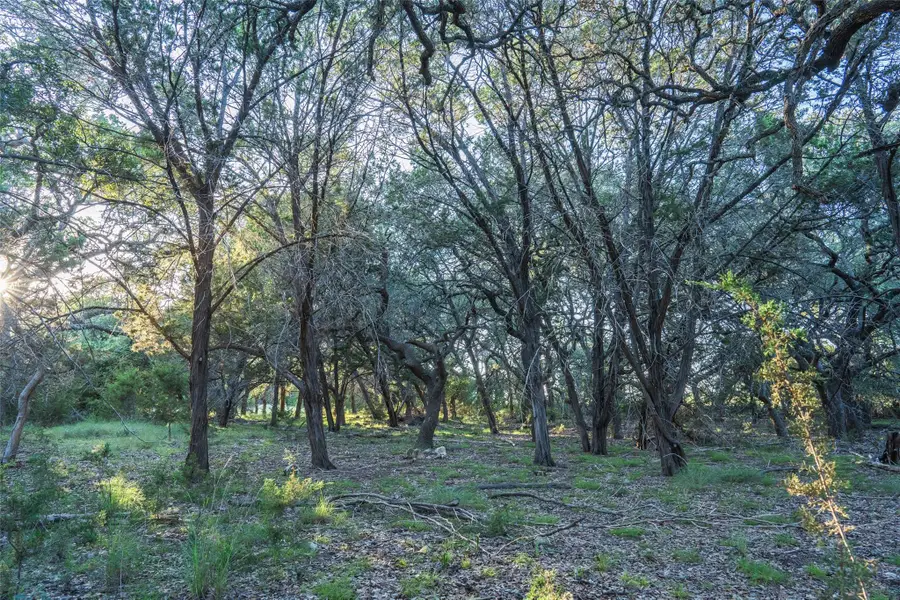 TBD Crabapple Rd, Blanco, TX 78660 - Image #2