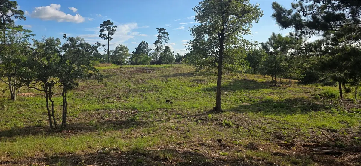 400 Mcallister Rd, Bastrop, TX 78602 - #1
