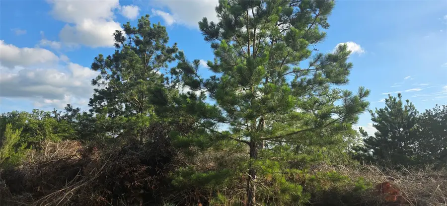 400 Mcallister Rd, Bastrop, TX 78602 - #2