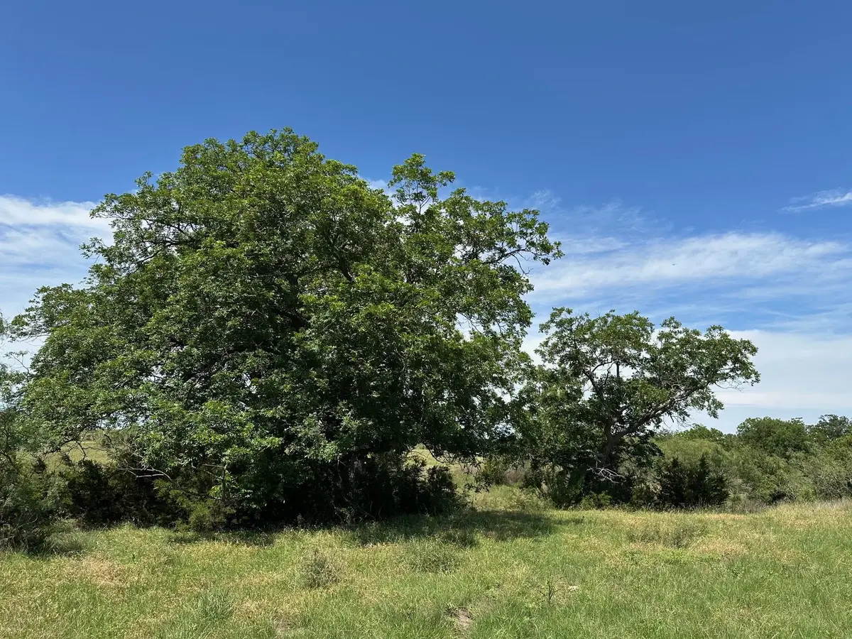 45 acres County Road 330, Bertram, TX 78605 - #1