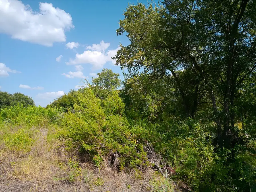 Lot 33 Serenity Dr, Bertram, TX 78605 - #3