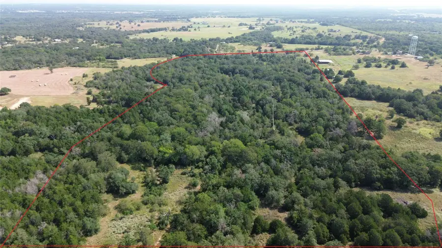 00 TBD Fm 535, Cedar Creek Red Rock, TX 78617 - Image #2