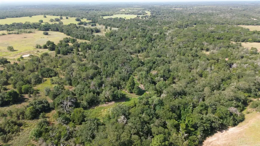 00 TBD Fm 535, Cedar Creek Red Rock, TX 78617 - Image #3