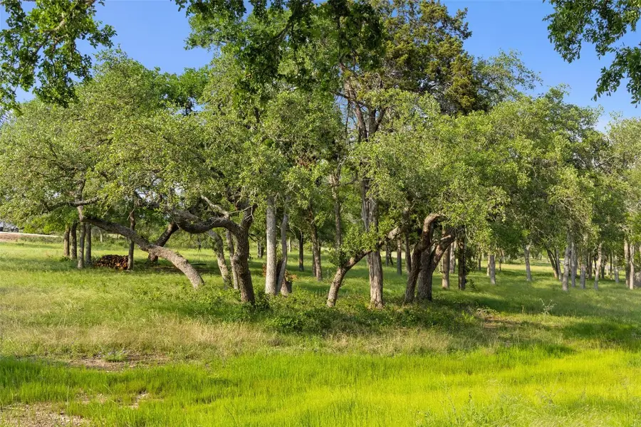 #24 Mesa Ranch Rd, Dripping Springs, TX 78620 - Image #3