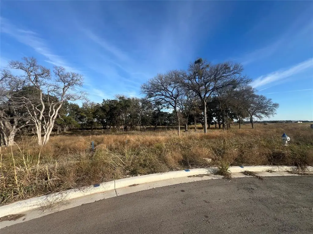 148 W Rio Ranch Rd, Liberty Hill, TX 78642 - #1
