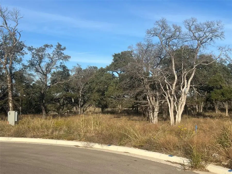 148 W Rio Ranch Rd, Liberty Hill, TX 78642 - #3
