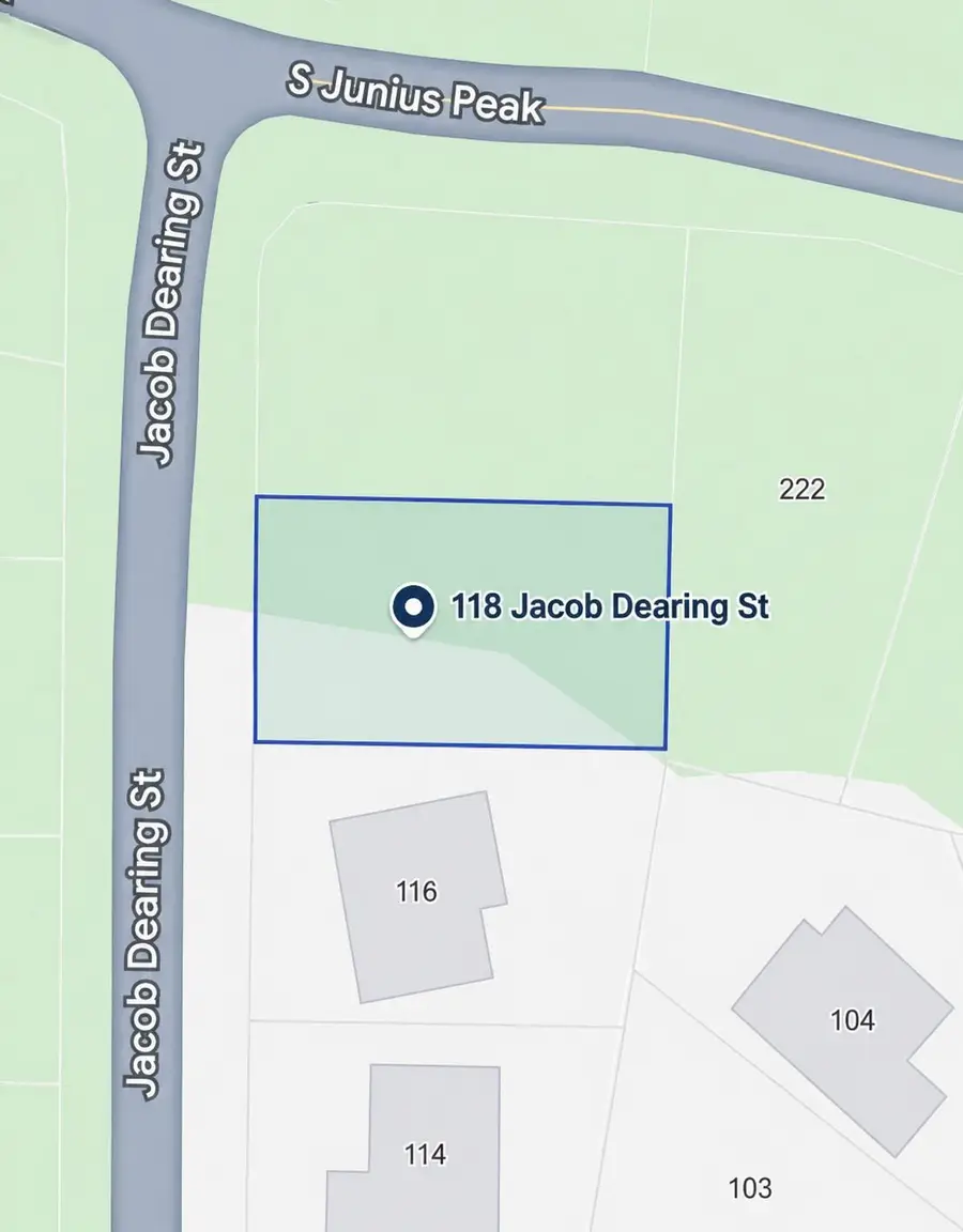 118 Jacob Dearing St, Blanco, TX 78606 - #3