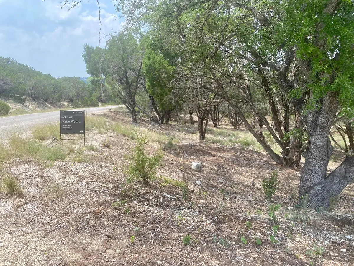 20101 Champlain Cv, Lago Vista, TX 78645 - Image #1