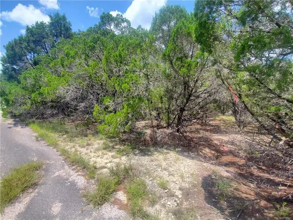 3202 Marshall Ave, Lago Vista, TX 78645