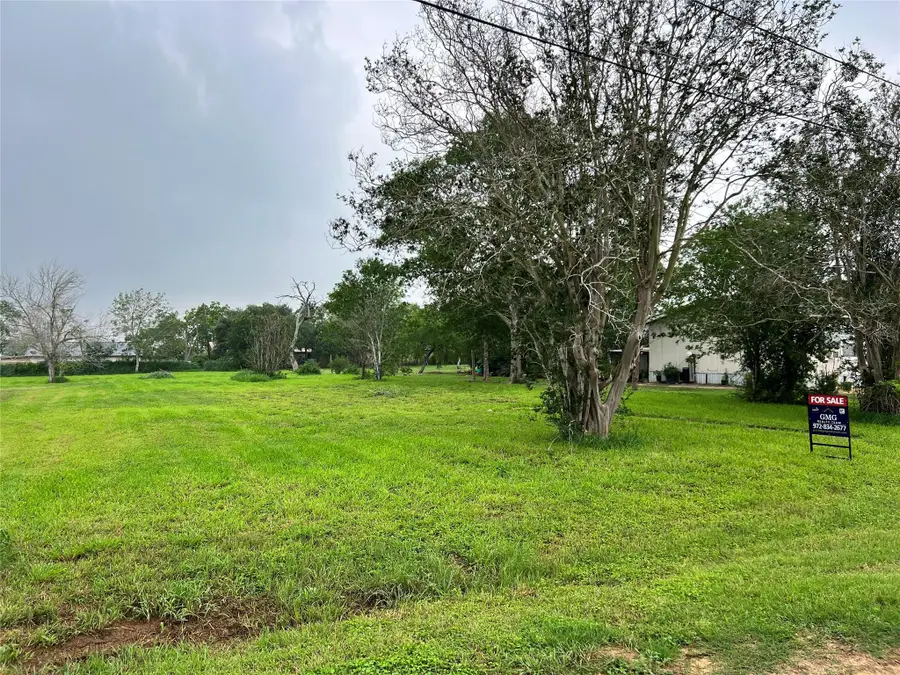 705 E 2nd Ave, Nixon, TX 78140 - #3