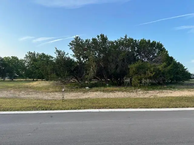 344 Joya Drive Dr, Liberty Hill, TX 78642 - #3