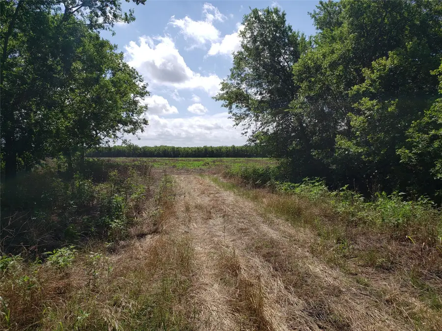 6015 Fm-1327, Buda, TX 78610 - #2