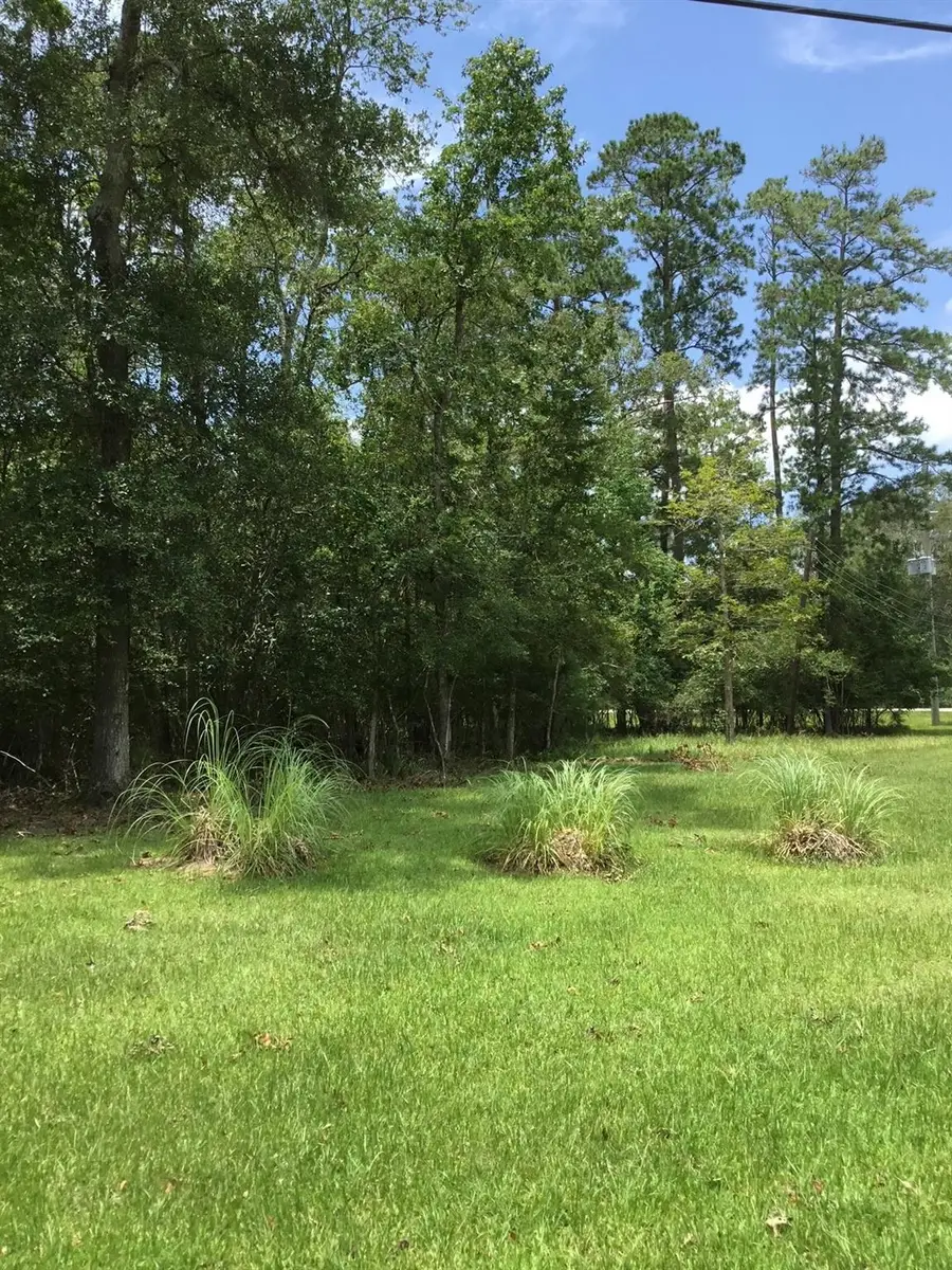 TBD Echo Ln, Huffman, TX 77336 - Image #3