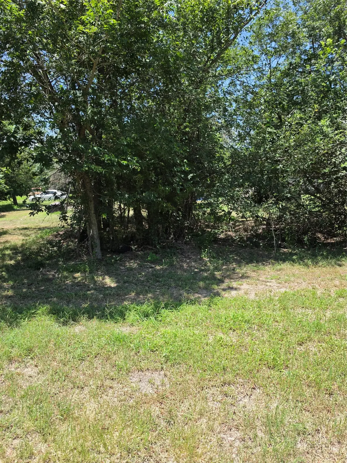 711 2nd St E, Elgin, TX 78621 - #1