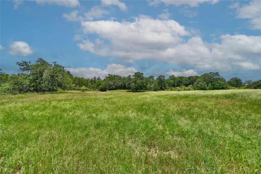 159 Starlight Path, Red Rock, TX 78662 - Image #3