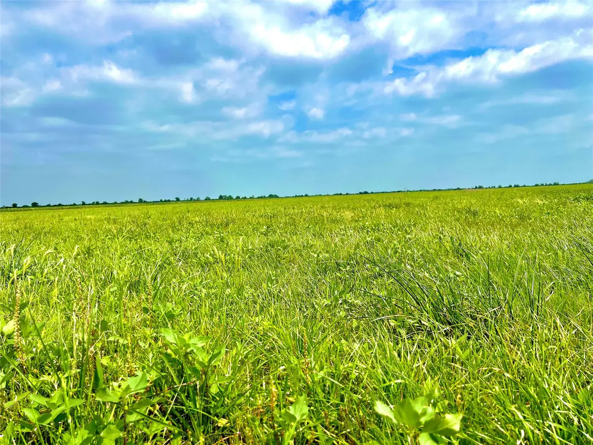 TBD Tract 13 County Road 210, Eagle Lake, TX 77434 - Image #1