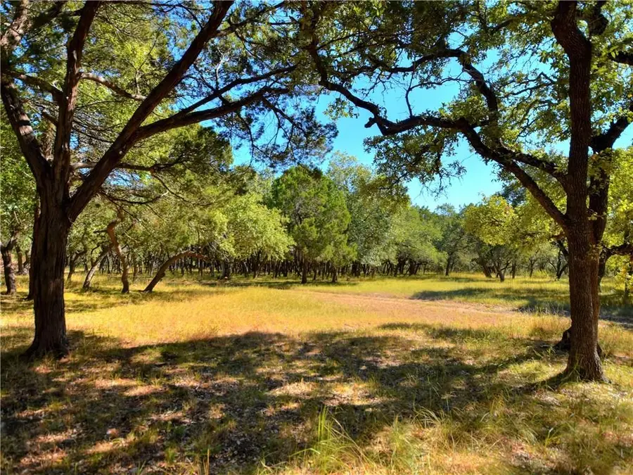 24391 Bingham Creek Rd, Leander, TX 78641 - #3