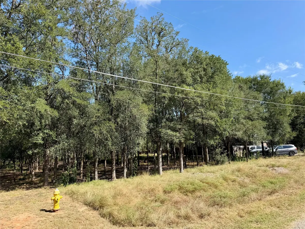 208 Waipahoehoe Dr, Bastrop, TX 78602 - #1