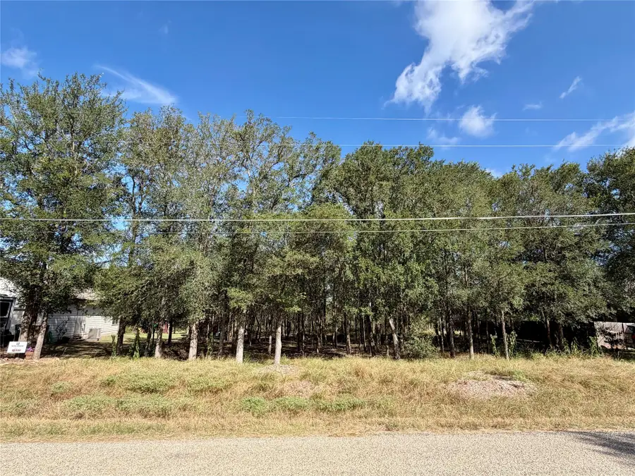 208 Waipahoehoe Dr, Bastrop, TX 78602 - #2