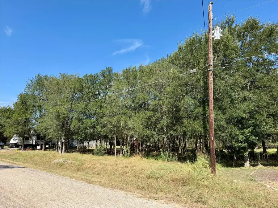 208 Waipahoehoe Dr, Bastrop, TX 78602 - #3