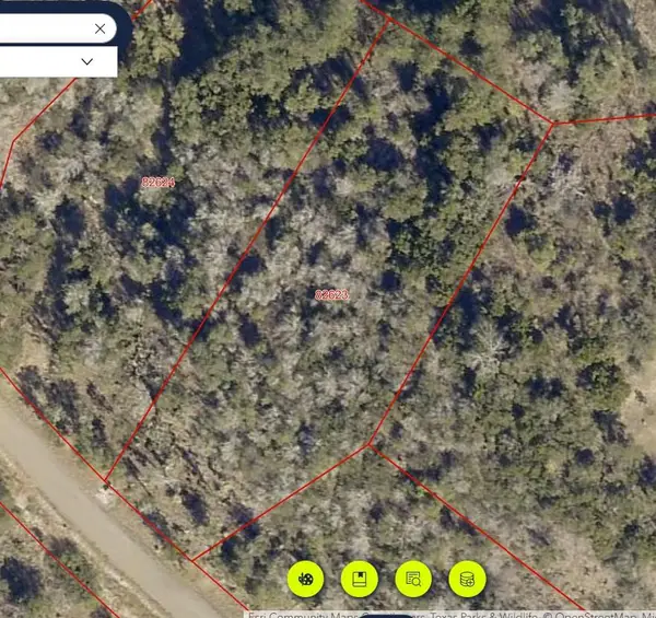 64 War Bonnet Rdg, Kingsland, TX 78639