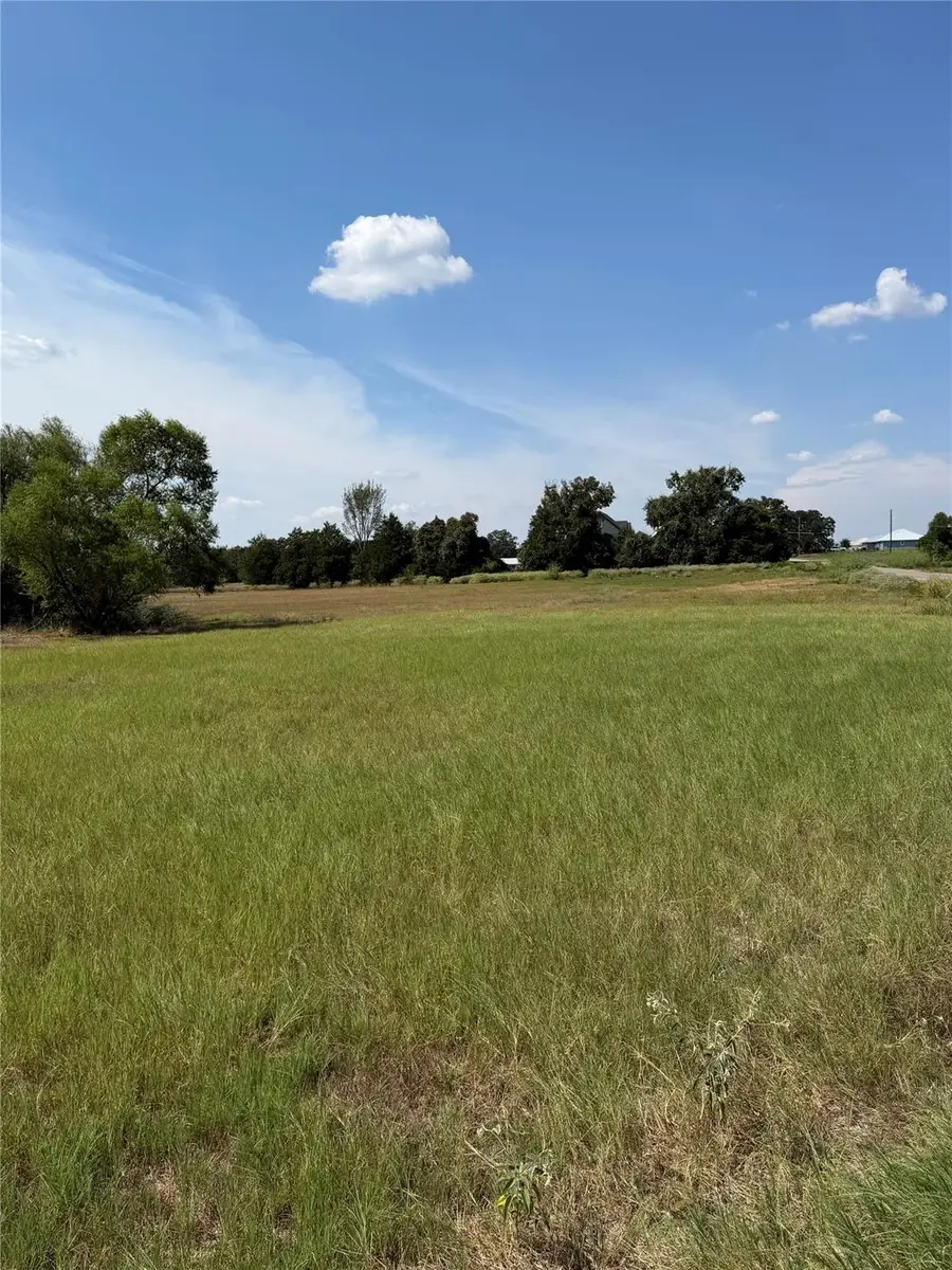 TBD Richmond Street, McDade, TX 78650 - #2
