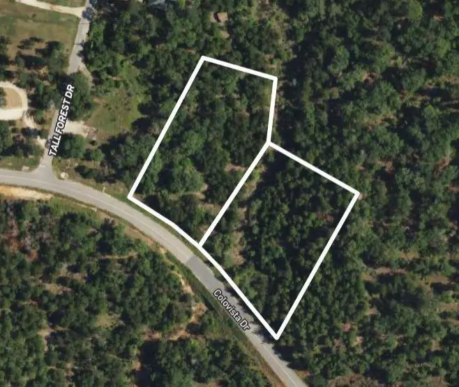 TBD - Lots 1 & 41 Colovista Dr, Bastrop, TX 78602 - #1