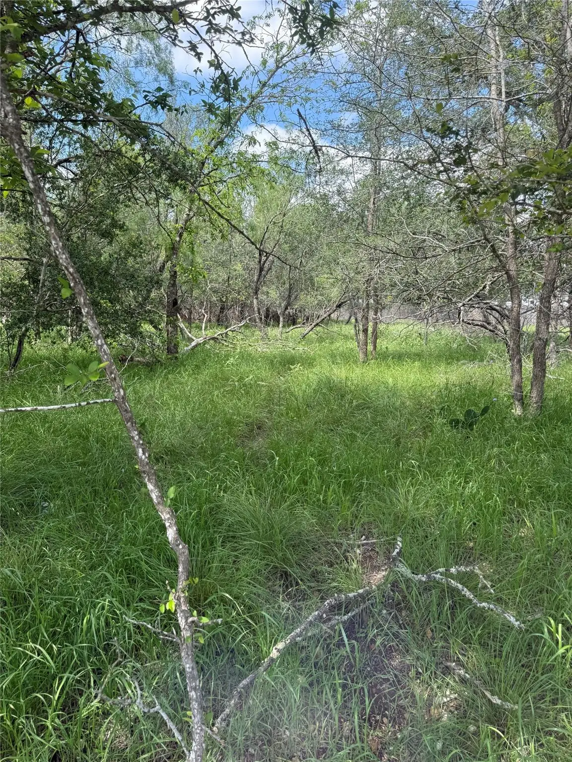 Lot 200 Nene Ln, Bastrop, TX 78602 - #1
