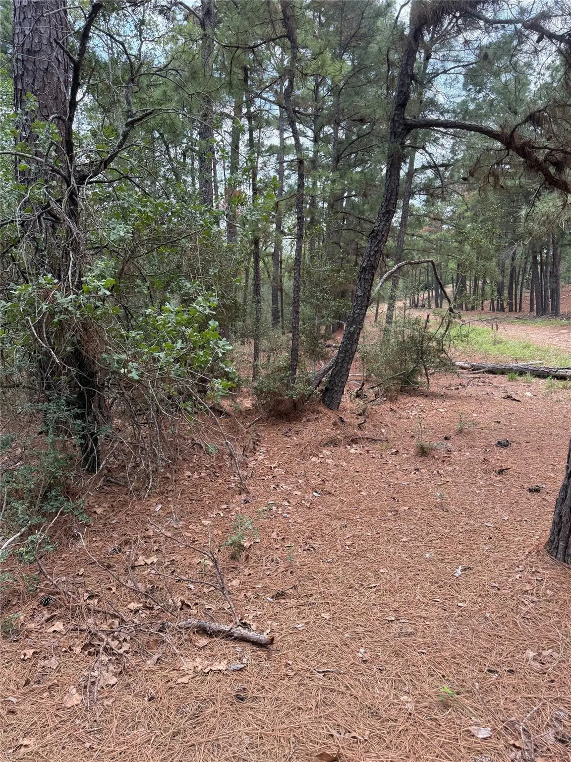 Lot 35 Tanglewood Dr, Bastrop, TX 78602 - #1