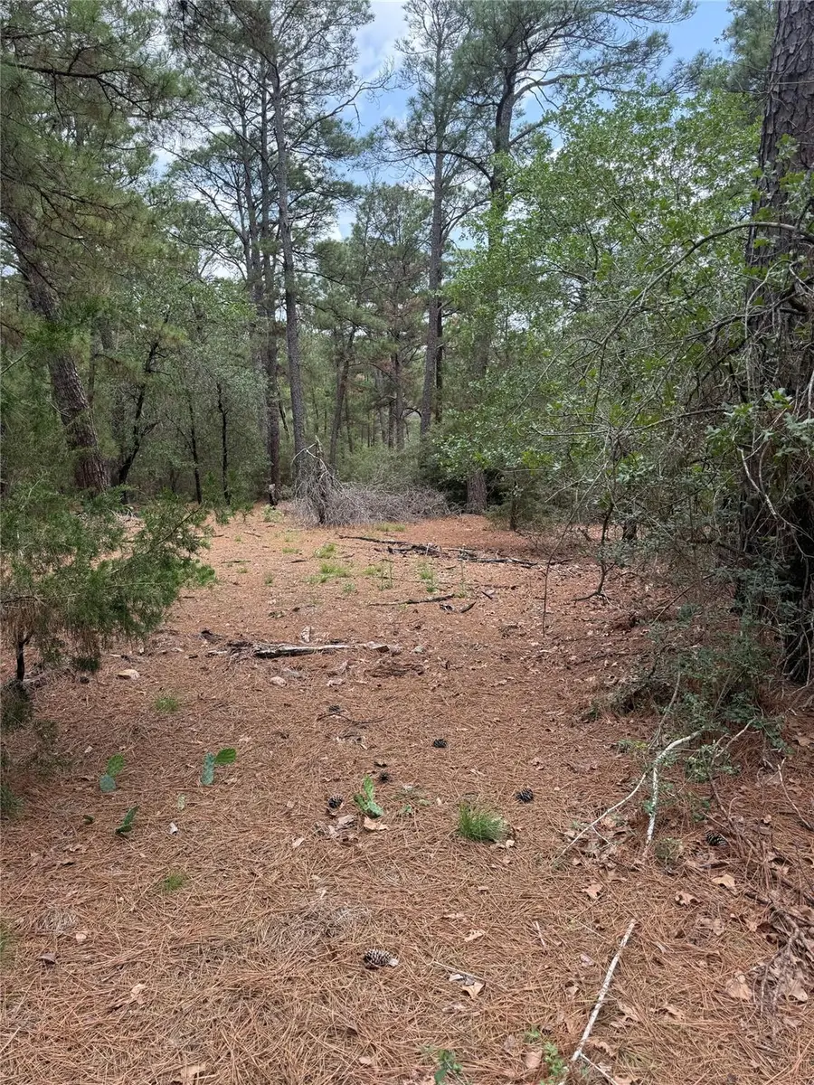 Lot 35 Tanglewood Dr, Bastrop, TX 78602 - #3