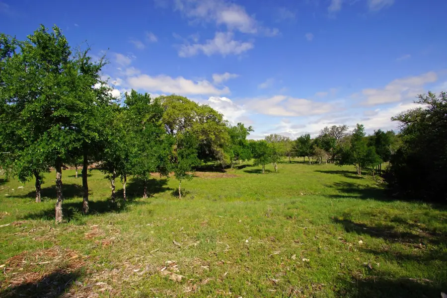 Lot 48 Bridget Ct, Briggs, TX 78608 - #2