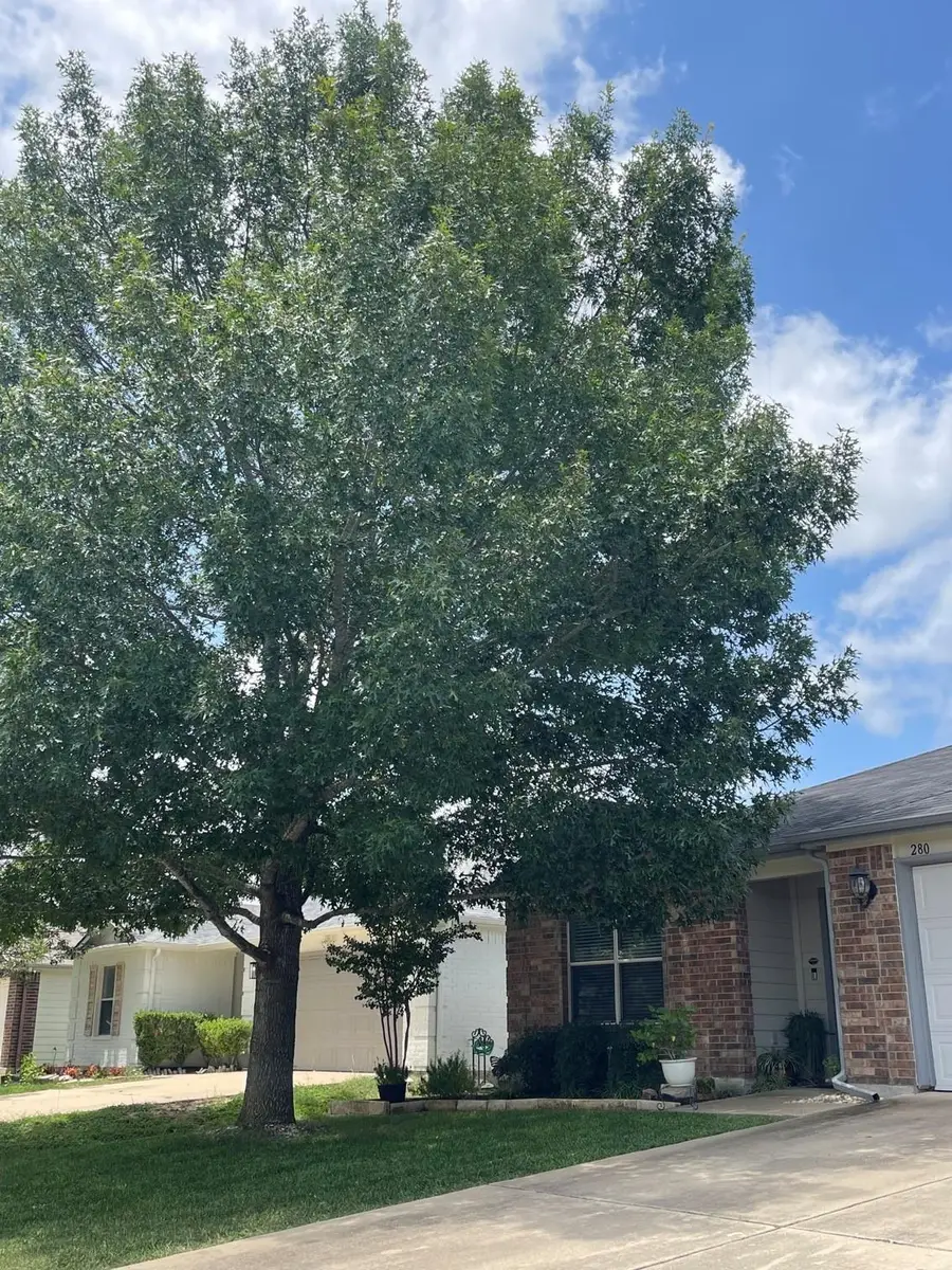 280 Spruce Dr, Kyle, TX 78640 - #3