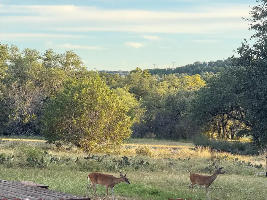 202 Dunkeld Dr, Spicewood, TX 78669 - Image #3